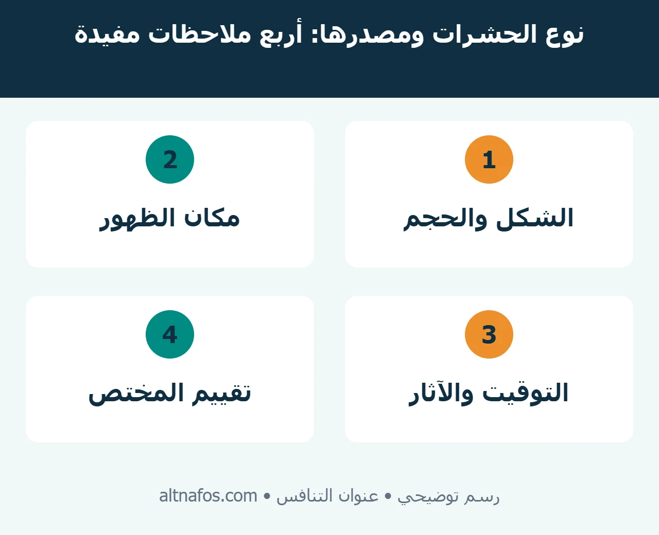 دليل بصري لتحديد نوع الحشرات عبر الشكل ومكان الظهور والتوقيت والآثار